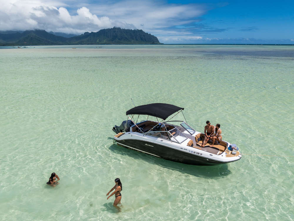 Speed Boat – A fun and flexible adventure for families, with access to multiple snorkeling spots.